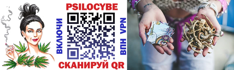 блэк спрут вход  Пионерский  Галлюциногенные грибы Magic Shrooms 